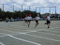 5年生徒競走の写真
