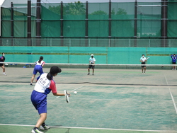 総合体育大会女子ソフトテニス競技