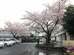 朝の浦安中