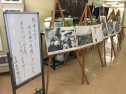 原爆パネルの展示