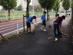 落ち葉清掃