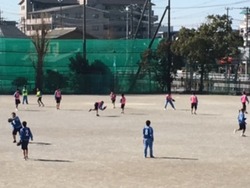 2年体育のソフトボール