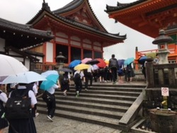 雨の清水寺