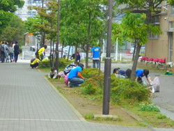 小雨の中の除草作業