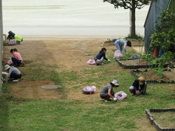 中庭の除草作業