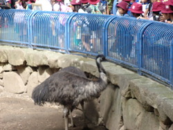 動物園