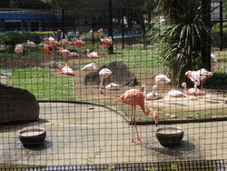 動物園