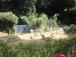 動物園