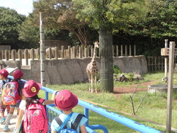 動物園