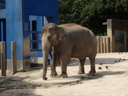 動物園