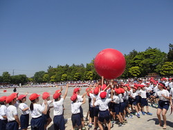 運動会