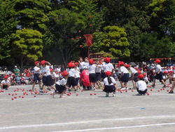 運動会