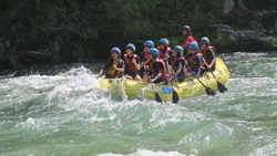 rinkan8