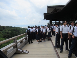 syuugaku16