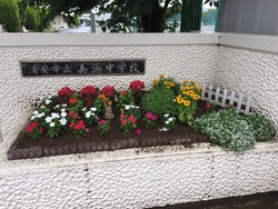 令和元年度PTA園芸部の取組