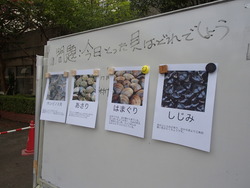 マイキャンプ