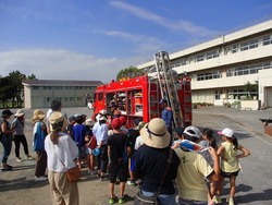 マイキャンプ