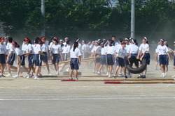 紅白対抗女子棒引き