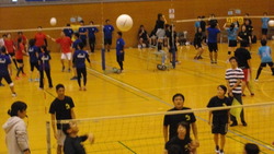 市P連