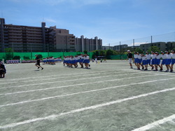 会