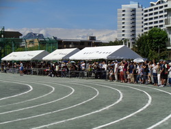 会