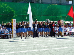 会