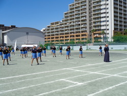 会