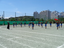 会