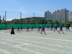 会