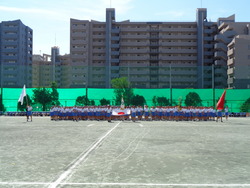 会