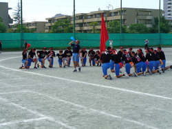 会