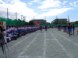 会