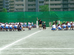 会