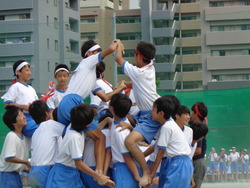 会