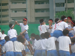 会