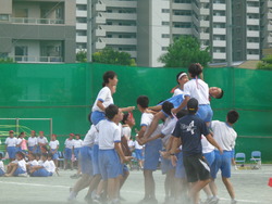 会