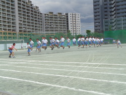 会