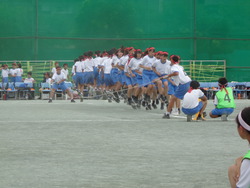 会