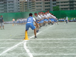 会