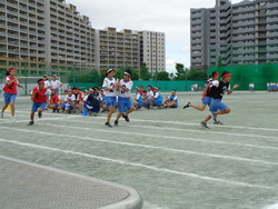 会
