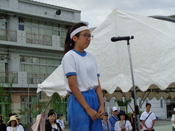 会