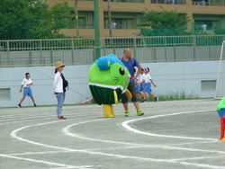 会