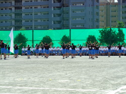 会