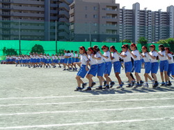 会