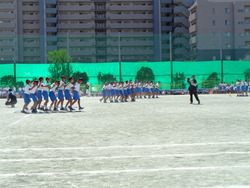 会