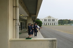 赤い羽根募金