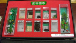 薬物乱用防止教室