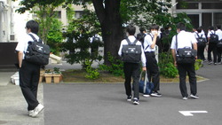3年分散
