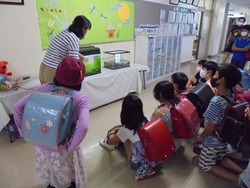 生き物委員会がカメ飼育の仕方について聞いています