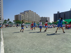 会